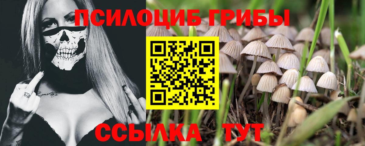 Галлюциногенные грибы Magic Shrooms  Галлюциногенные грибы Psilocybine cubensis  Вход с VPN  Мегион 