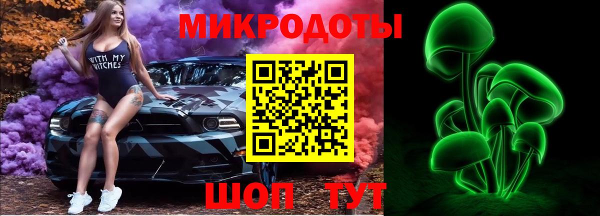Псилоцибиновые грибы Cubensis Мегион